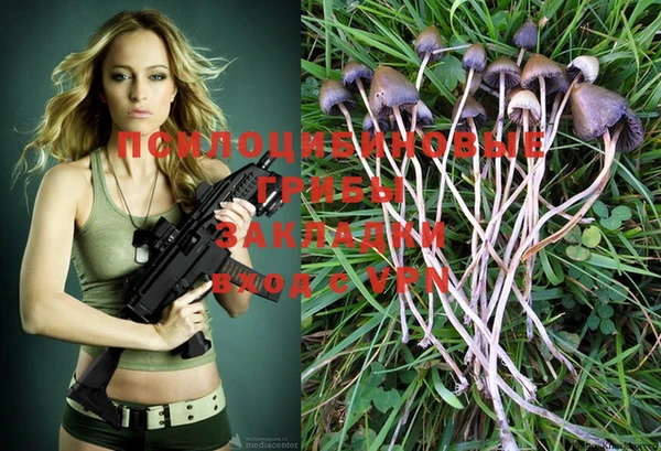 ALPHA PVP Кострома