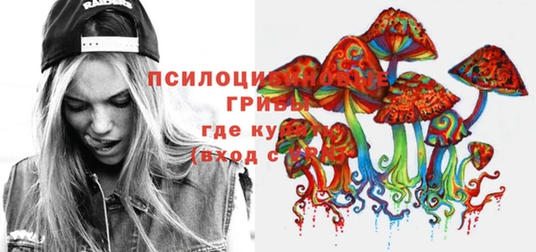 2c-b Великий Новгород