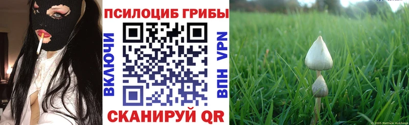 Галлюциногенные грибы GOLDEN TEACHER  Купить  Абдулино 